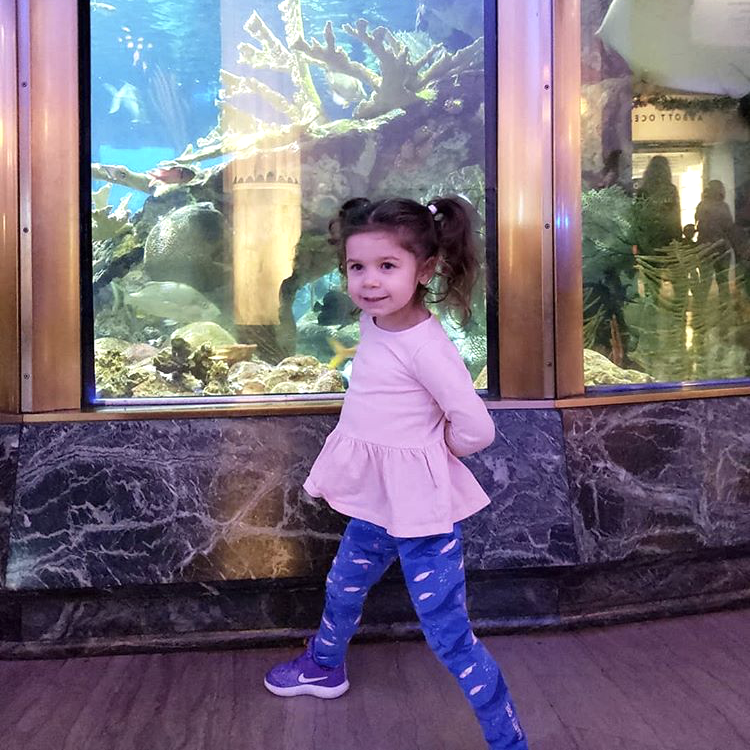 Girls narwhal leggings narwhals clothing whale ocean sea life Smarty Girl toddler kids clothes whales pants aquarium science octopus jellyfish fish underwater nautical boat STEM Arctic pima girly marine biology smart geek scientist nerd pink purple shirt tshirt dress kid child children nerdy geeky infant baby zoo animals